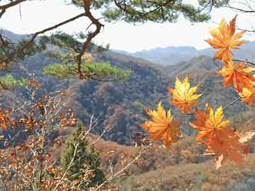 康绰村天气预报更新通知