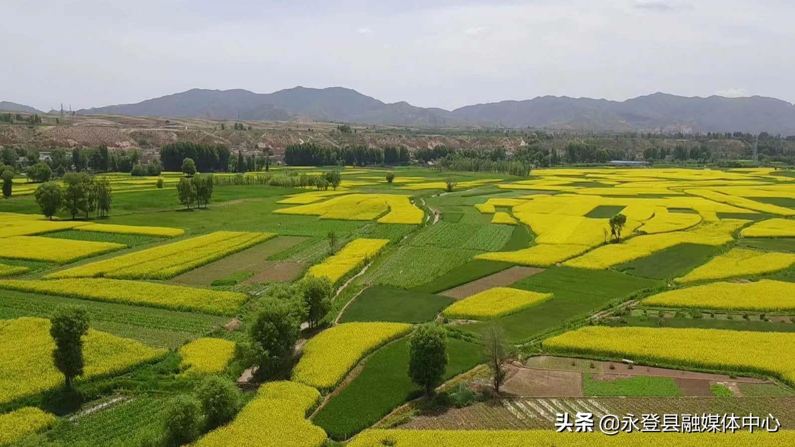 永登县领导新团队引领未来，共筑辉煌成就