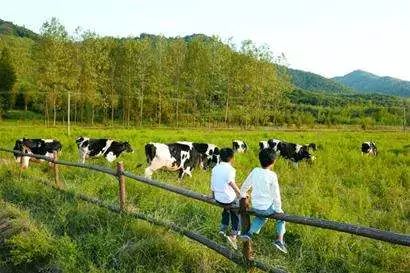 国营梨树农场（四平辽河农垦管理区）交通升级动态与发展新闻