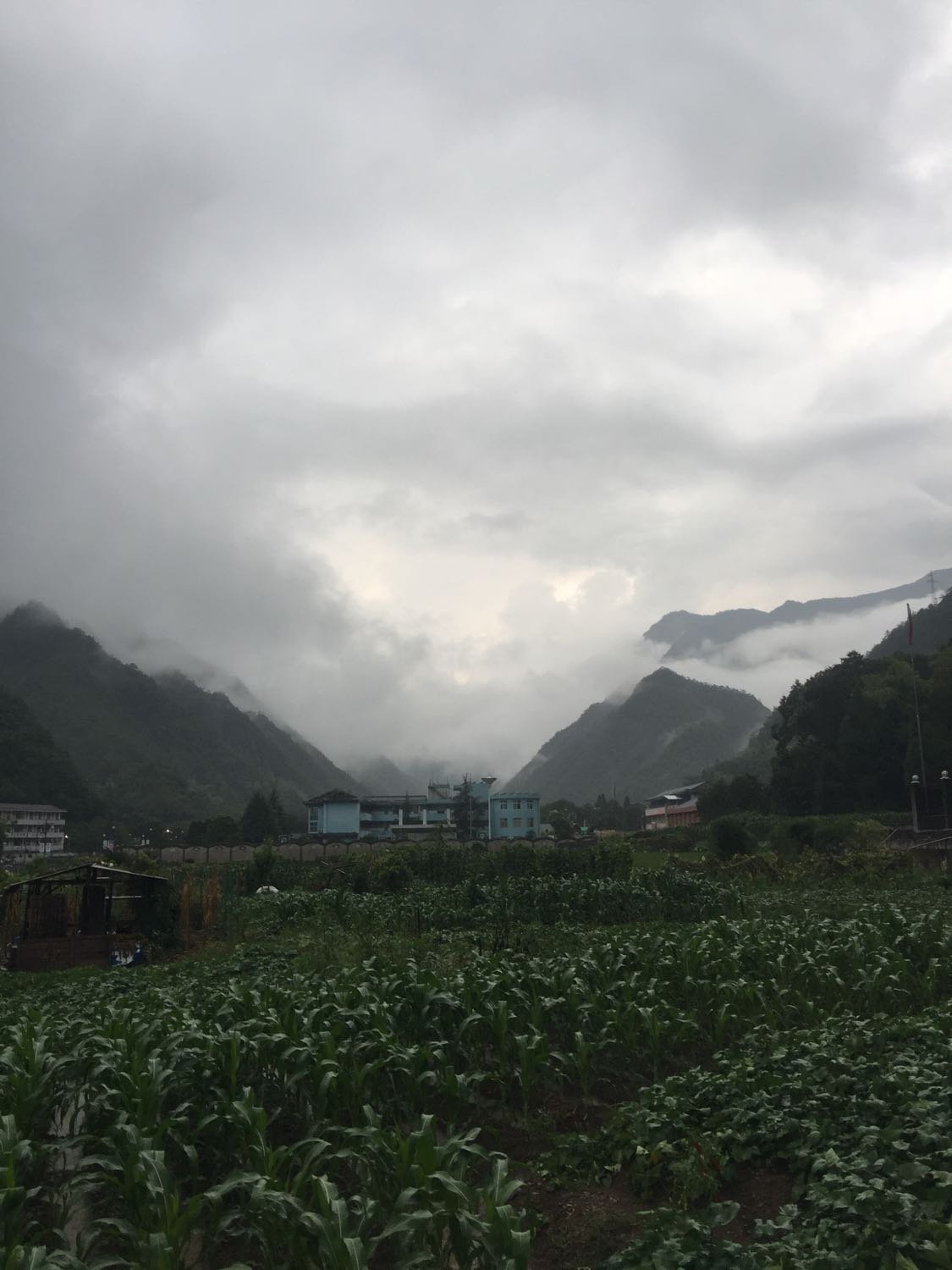 蒲砚村天气预报更新通知