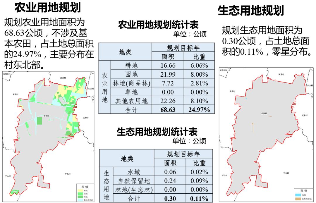 洛马村发展规划，走向繁荣与和谐共生的未来之路