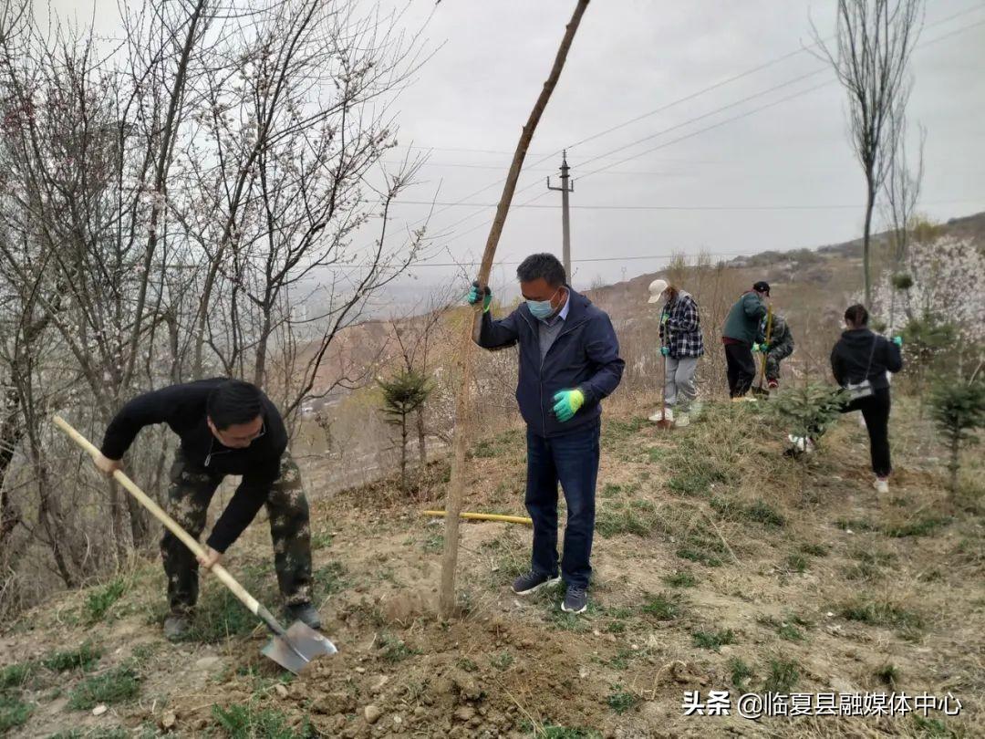 大杨乡最新新闻报道概览